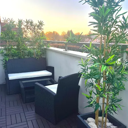 Avec Terrasse Daire
